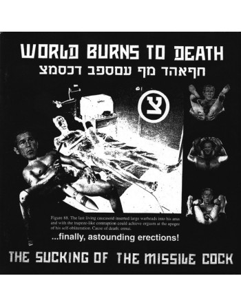 WORLD BURNS TO DEATH - "The sucking of the missile cock" CD